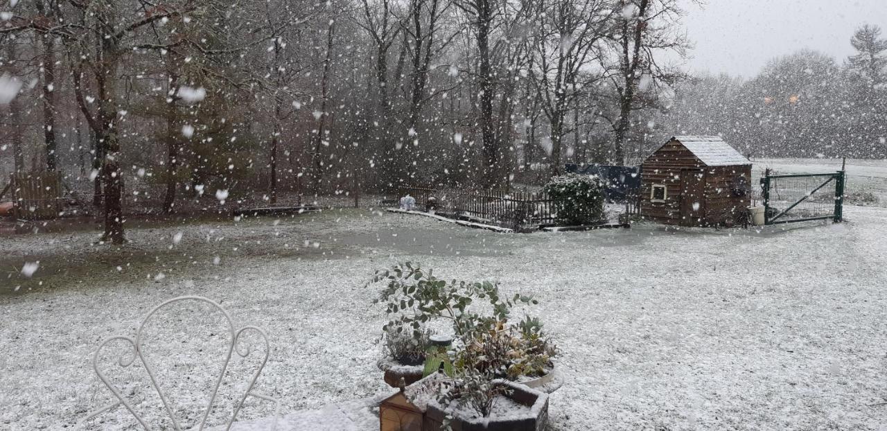 La Maison Bois Chaon  Zewnętrze zdjęcie